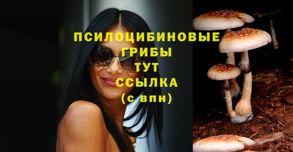 ешки Пересвет