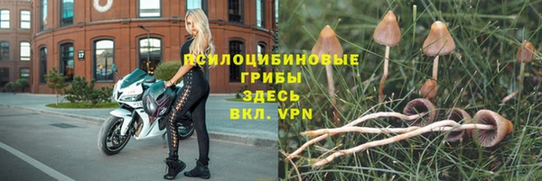 твердый Переславль-Залесский
