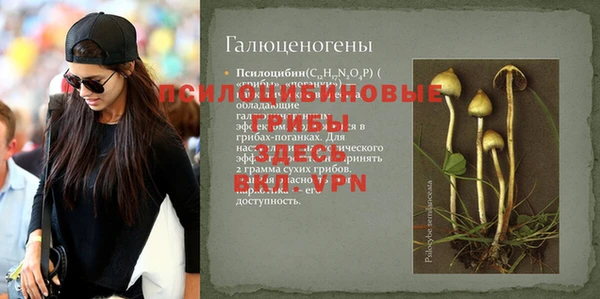 ешки Пересвет