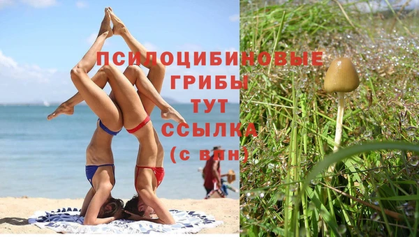 mix Осинники