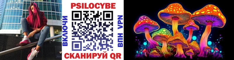 Псилоцибиновые грибы MAGIC MUSHROOMS  shop состав  Лермонтов  как найти  